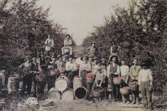 Apple Pickers